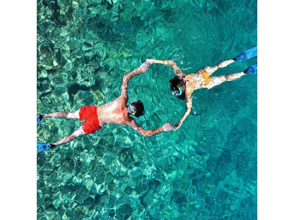 Small-Group Snorkel Adventure in San Jose del Cabo