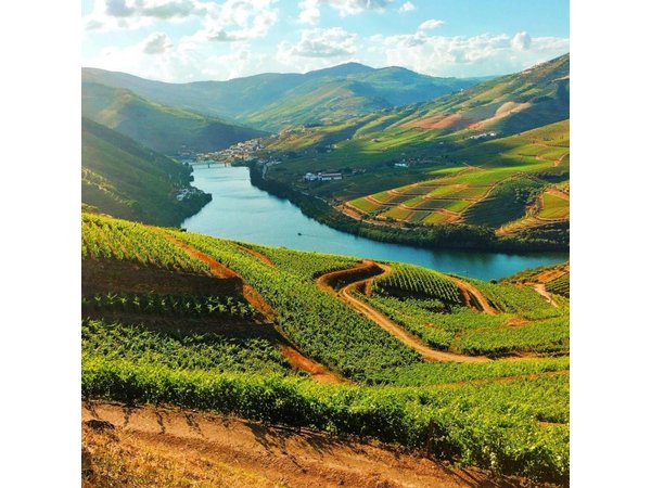 Douro Valley - Relaxed Departure from Porto