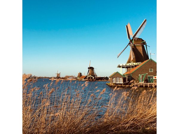 Dreamy Dutch Villages Tour: Giethoorn, Zaanse Schans & More
