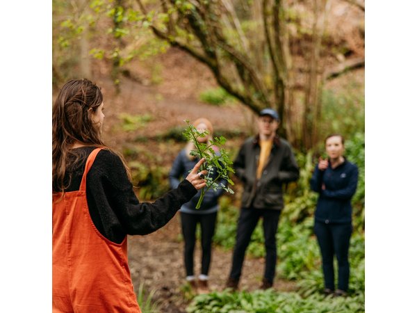 Learn to forage in Llangollen