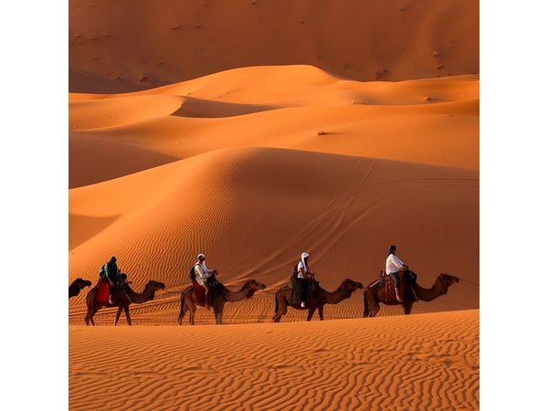 2-Day Luxury Sahara Tour: Fes to Marrakech or Fes