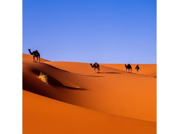 Private Desert Odyssey: Marrakech to Merzouga 3-Day Adventure