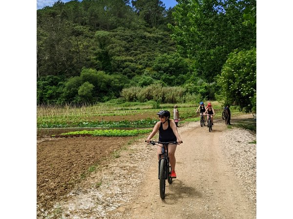 E-Bike & Wine Tasting Experience from Ericeira