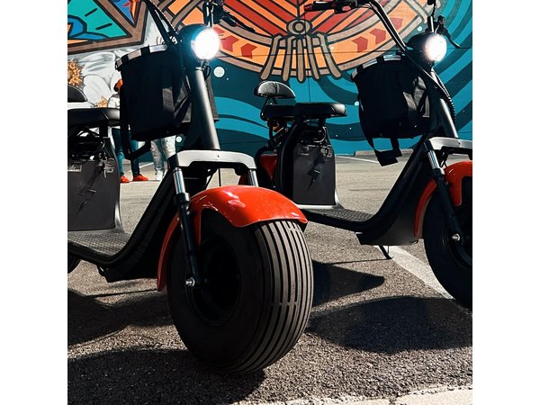 2-Hour Fat-Tire Scooter Rental in Dallas