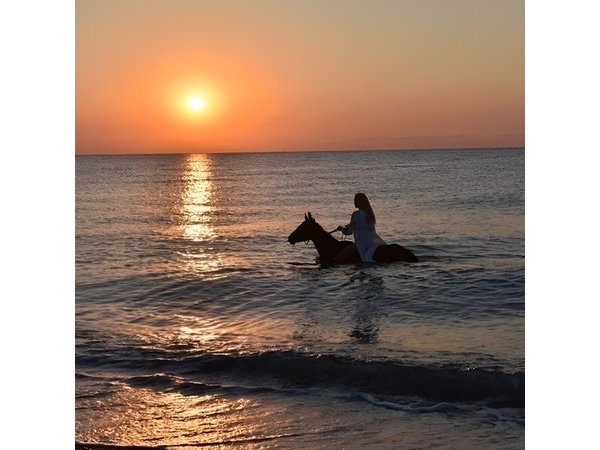 Antalya Horseback Riding Adventure Through Scenic Trails
