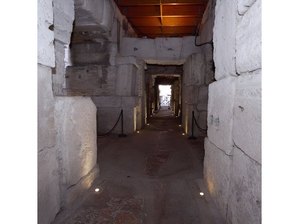 Semi Private Colosseum Underground and Ancient Rome