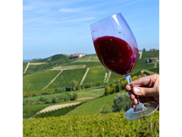 Piemonte Vineyards by Yourself from Turin - Business Car with English Chauffeur