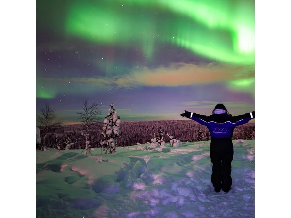 Northern Lights Wilderness Small-Group Tour from Rovaniemi