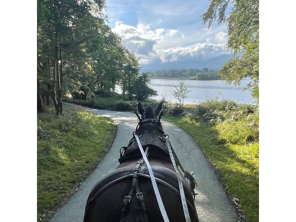 Horse-Drawn Carriage Tours in Killarney