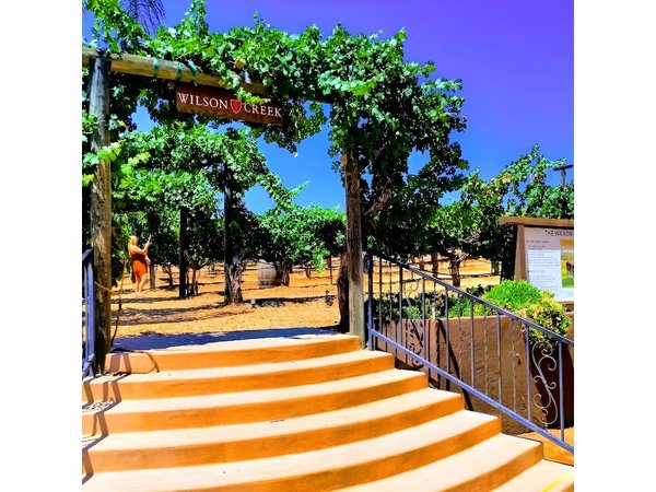 Temecula Wine Tour from Los Angeles