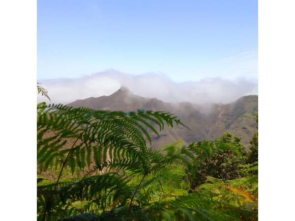Amazing Anaga: Small-Group Hiking Tour (12km) in Tenerife