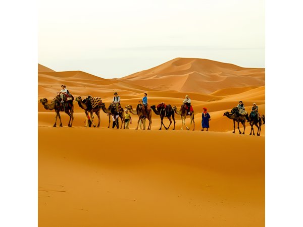 Fez to Marrakech via Merzouga Desert - 3 Day Desert Tour