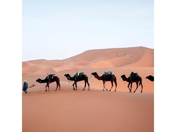 3 Days Tour Marrakech to Merzouga