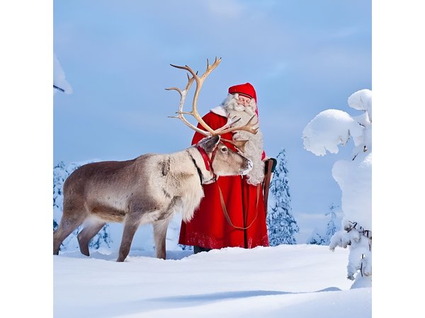 Highlights of Rovaniemi Day Tour