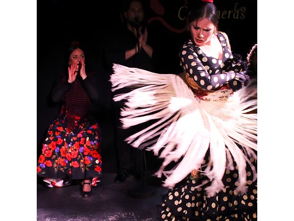 Madrid Local Tapas, Wine Bars & Flamenco Show