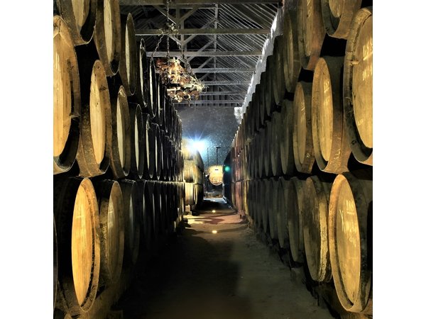 Private Wine Tasting in the Setúbal Wine Region, from Lisbon