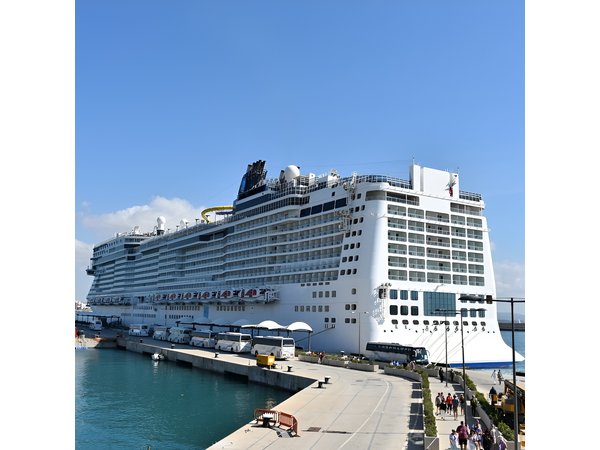 SHUTTLE Rome - Civitavecchia Port or Civitavecchia Port - Rome