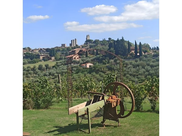 HALF-DAY: Chianti Classic Tour with Wine Experience & visit of San Gimignano