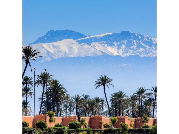 Full-Day Group Trip to Marrakech from Agadir