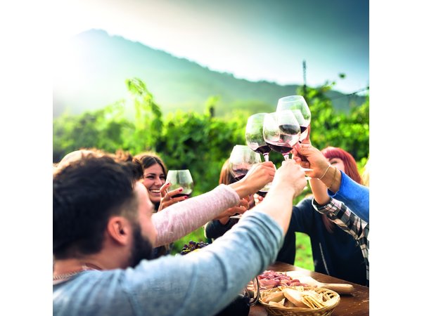 Valpolicella Wine Tasting & Verona: Private Day Trip from Venice