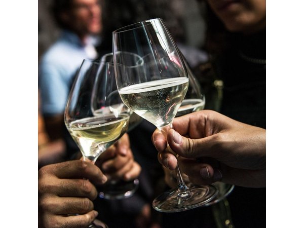 Wine Class and Tasting in Milan - Semi Private tour