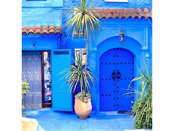 Day Trip from Casablanca to Chefchaouen With Tour Guide included