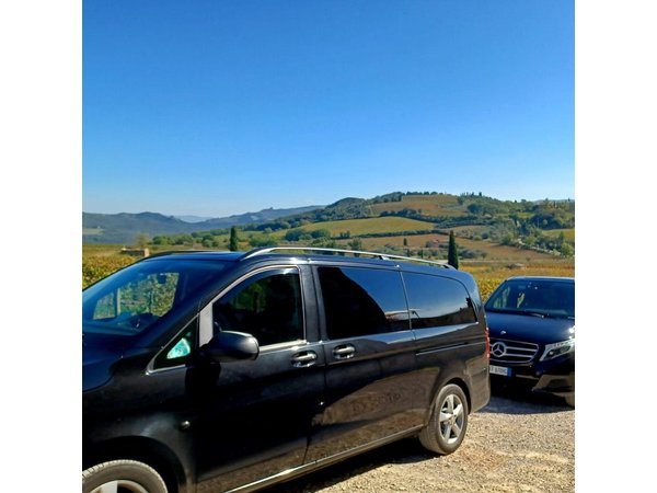 Private and Guided Day Visit to Beautiful Tuscany from Rome