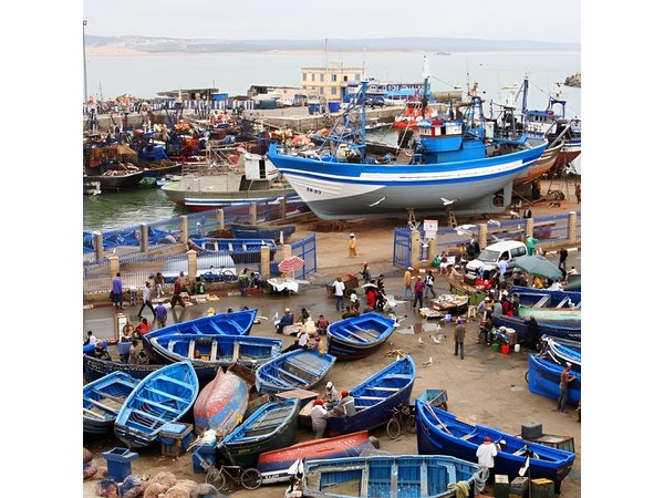 Full-Day Trip to Essaouira from Marrakech