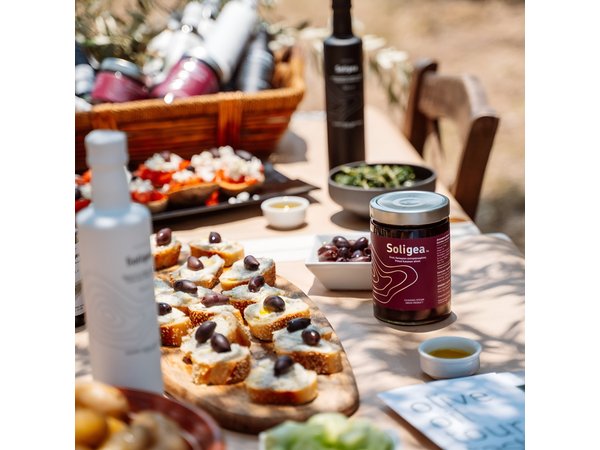 Full-Day Private Tour Corinth and Olive Oil Tasting from Athens