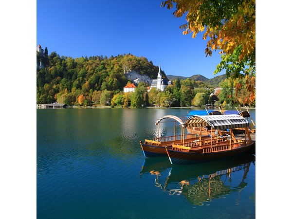 Bled & Ljubljana | Private off cruise excursion from Koper
