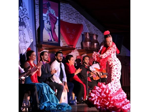 Flamenco night Show and Dinner in Madrid