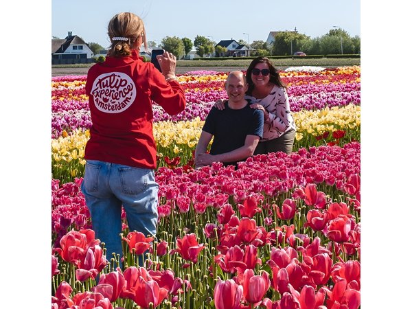Keukenhof Gardens & Tulip Experience Tour from Amsterdam