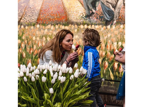 Keukenhof Gardens and Tulips Private Tour from Amsterdam