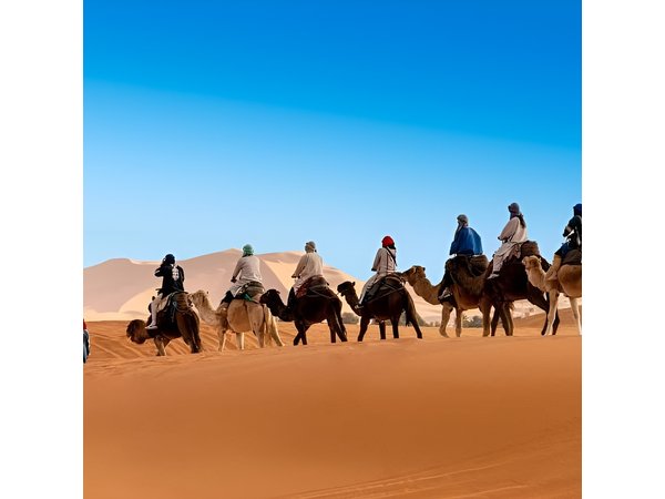 Private 11 Day Tour From Casablanca Imperial Cities Sahara Desert