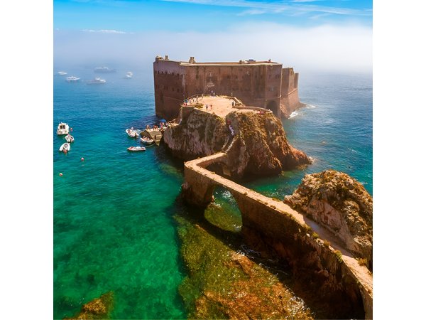 Berlenga: Private Trip from Lisbon (Boat & Island Permit Handled)