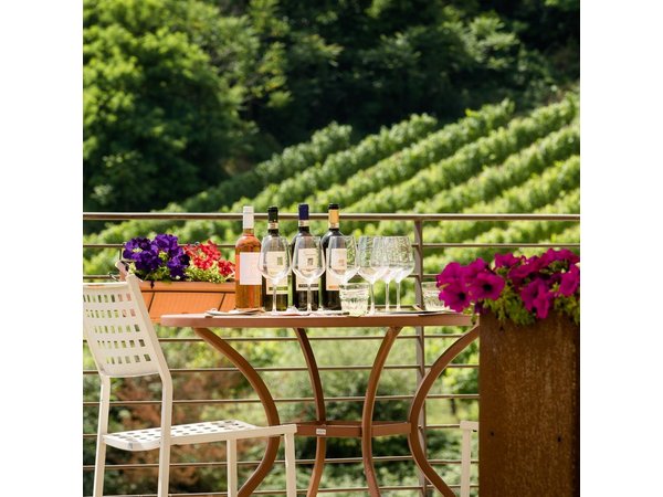 San Gimignano: Chianti wine tasting