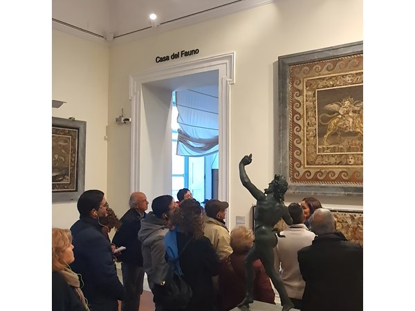 Private Tour of the National Archaeological Museum of Naples