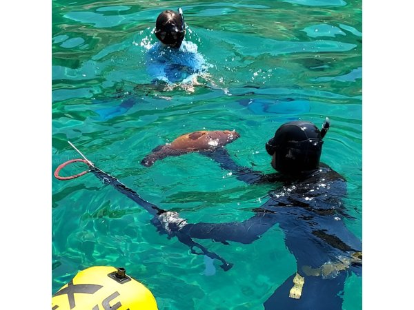 Spearfishing in Chania, Crete (price is per group)