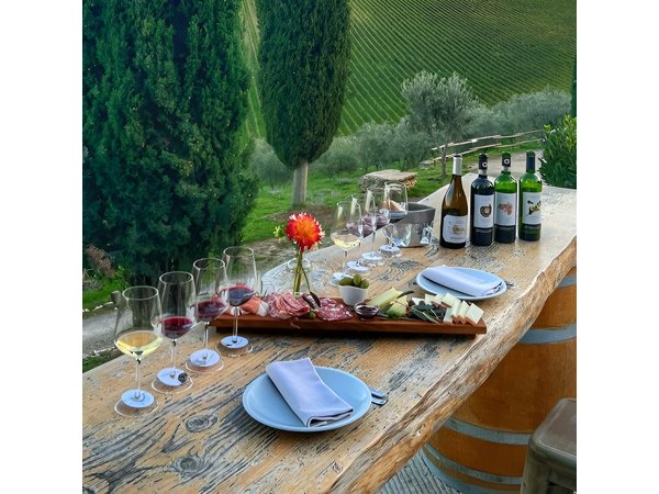 Semi Private Deep Wine Chianti and San Gimignano from Florence