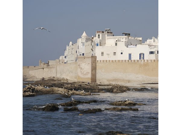 Full Day Essaouira Atlantic Coast City Guided Tour from Marrakech