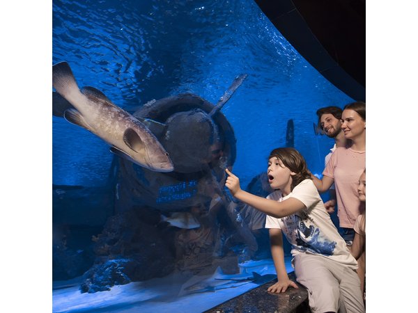 Half Day Antalya Aquarium Tour And Wax Museum