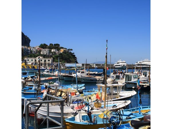 Discover Capri from Sorrento or Naples | Semi-Private Day Tour