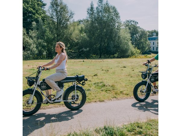 Electric Fatbike Full Day Rental in Breda