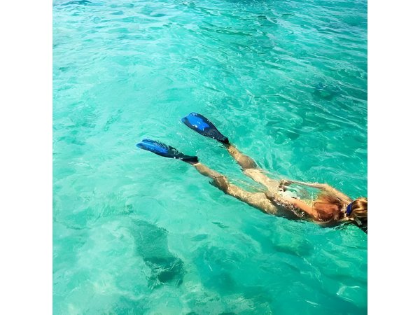 Snorkel Fort Lauderdale Jean Cousteaus Reef and Snorkel Trail