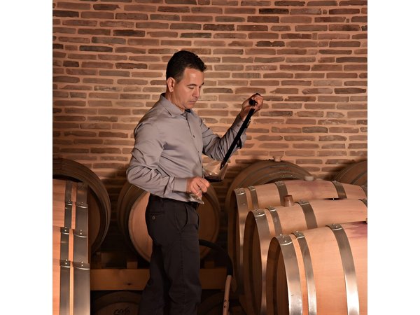 Corinth Winery Tour and Organic Fine Wine Tastings