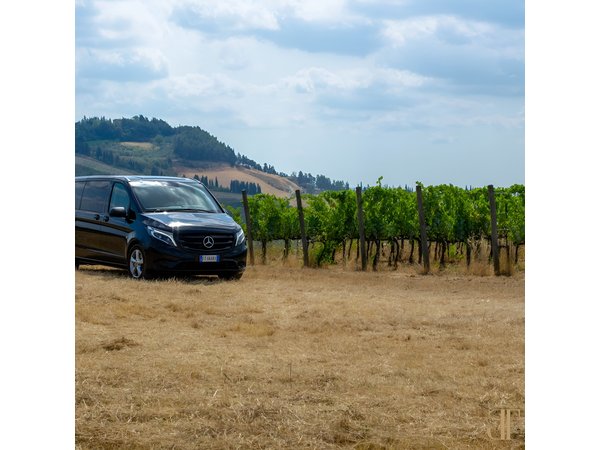 Bocelli Essence of Wine and Volterra Tour from Rome