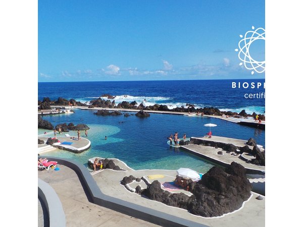 West 4x4 Experience: Skywalk, Porto Moniz Pools and Fanal Forest