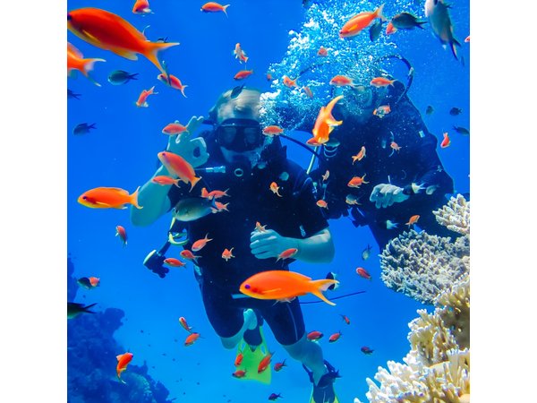 Exciteful Scuba Diving Experience in Antalya