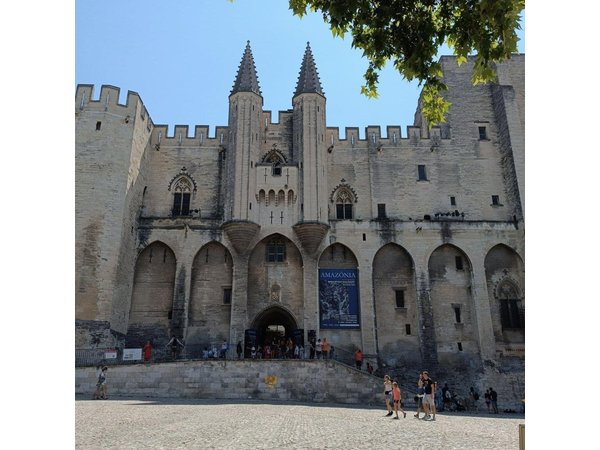 Private Full Day Tour Avignon & Wine Tasting Chateauneuf du Pape