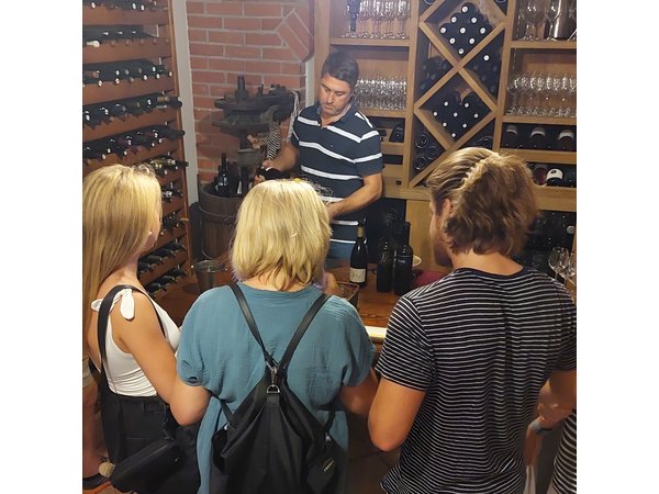 Pelješac Wine Tour from Dubrovnik: Taste the Best